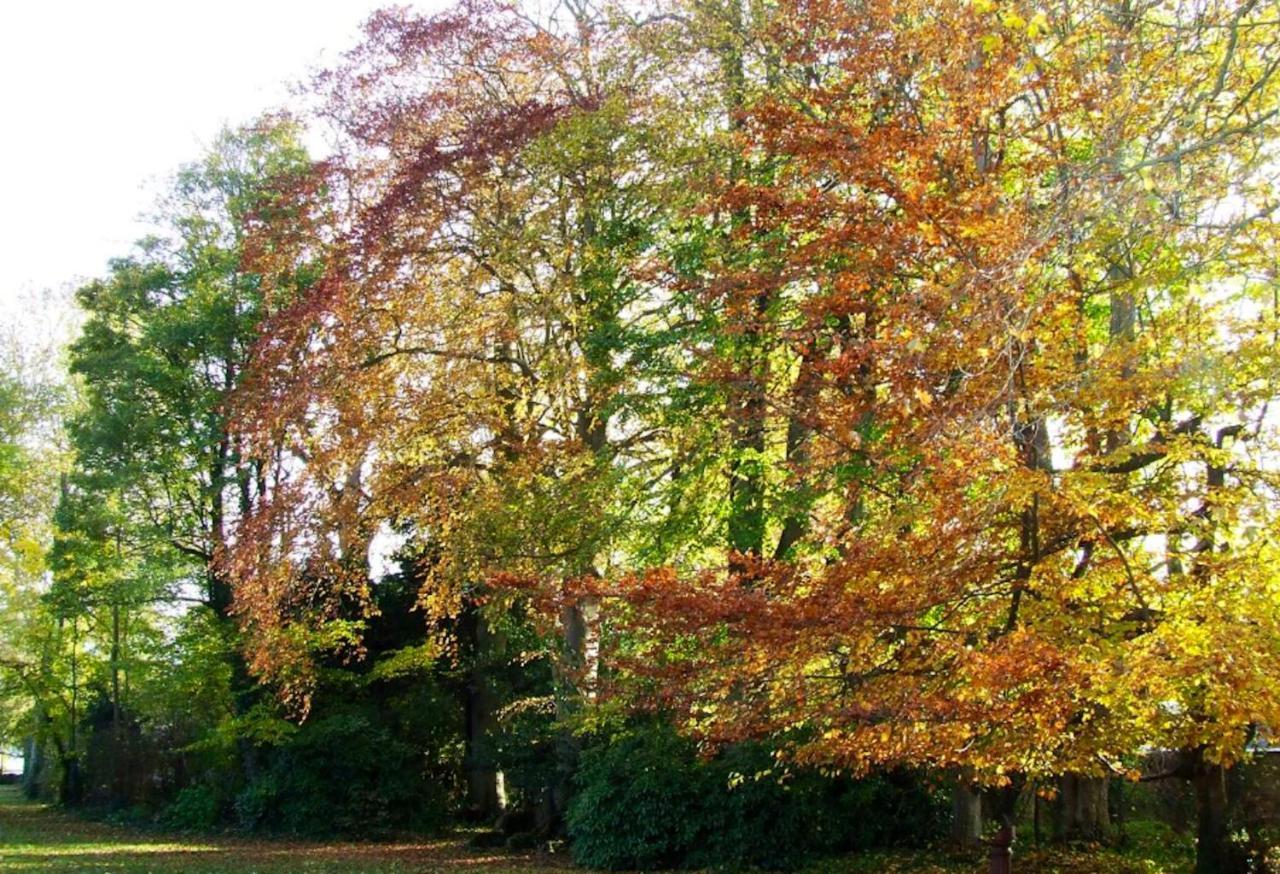 Maison Charmante A Avec Jardin Clos Et Acces Pmr *